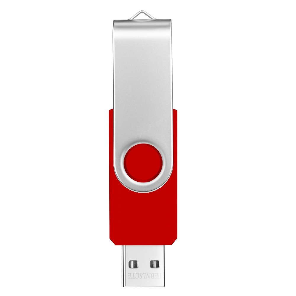 10 Piezas Pendrives 1 GB Económico Pen Drive Rojo Giratorio Memoria USB 2.0 1GB Regalo Portátil Flash Drives Almacenamiento con 10 Unidades Cordones para Música Fotos Vídeo Películas MP3 by FEBNISCTE
