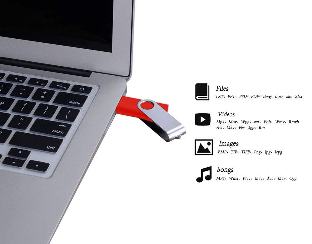 10 Piezas Pendrives 1 GB Económico Pen Drive Rojo Giratorio Memoria USB 2.0 1GB Regalo Portátil Flash Drives Almacenamiento con 10 Unidades Cordones para Música Fotos Vídeo Películas MP3 by FEBNISCTE