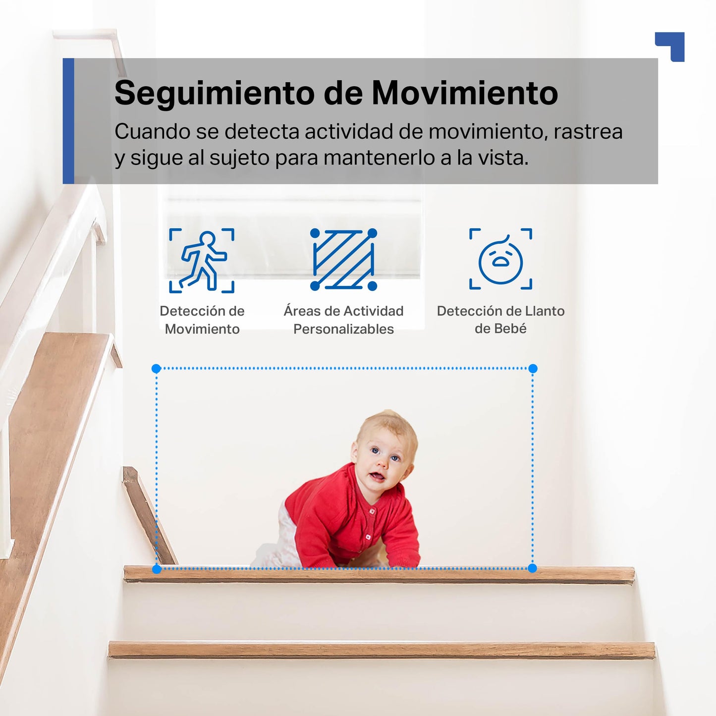 Tapo C200 - Cámara de Vigilancia WiFi Interior 360º, 1080p, Detección IA