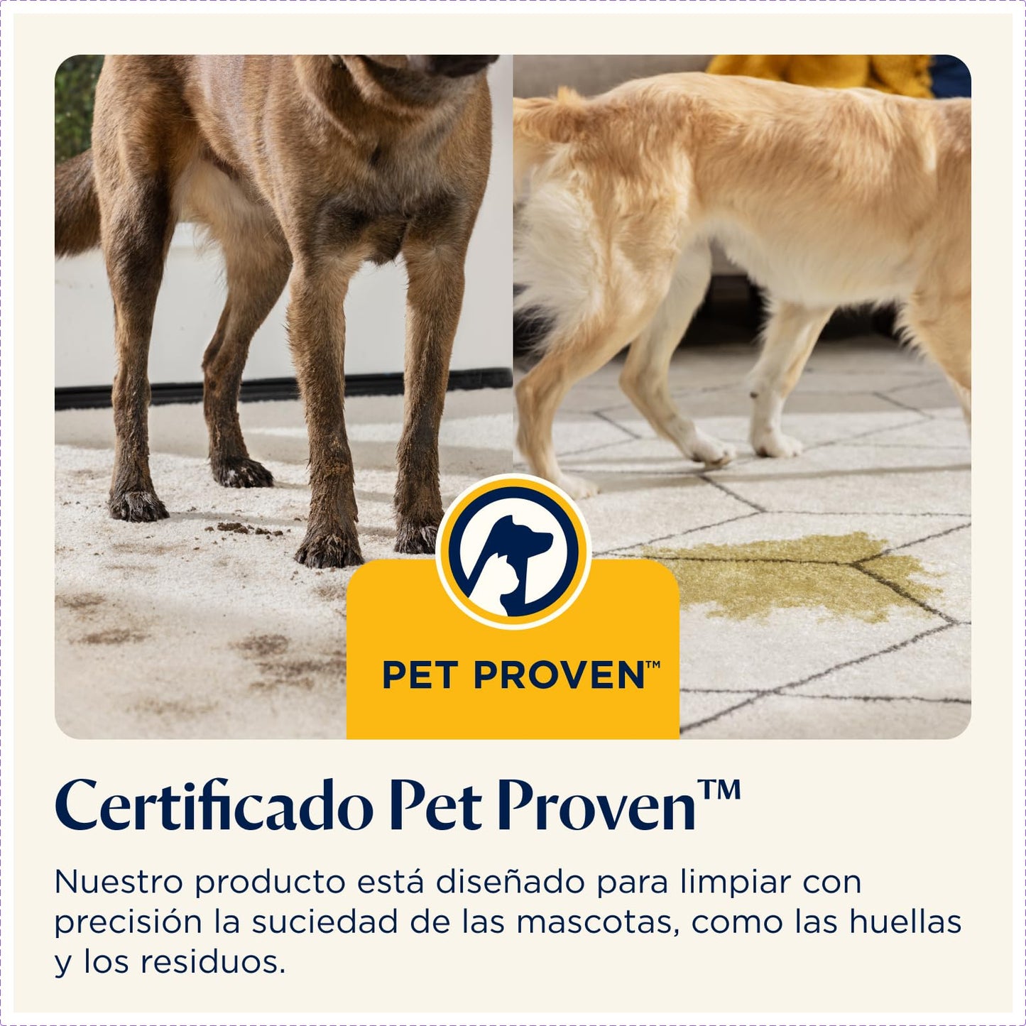 BISSELL SpotClean ProHeat Aspiradora de Agua Tapicería 330W 36988