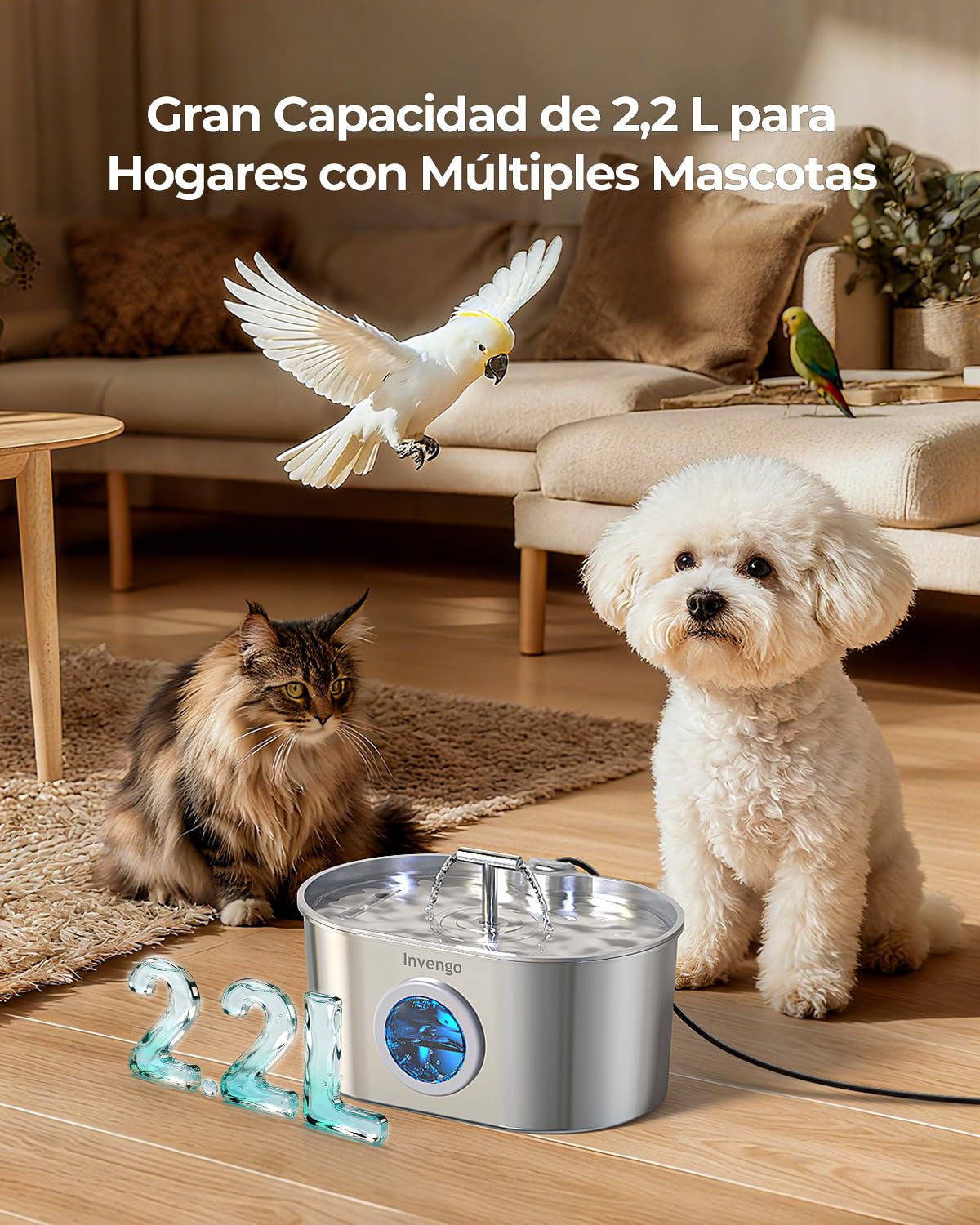 Fuente para Gatos Acero Inoxidable Invengo: Dispensador Automático de 2,2 L para Gatos y Perros, Fuente Silenciosa para Felinos con Filtro de 5 Capas, Salidas de Agua Dobles- 4 Filtros + 4 Esponjas