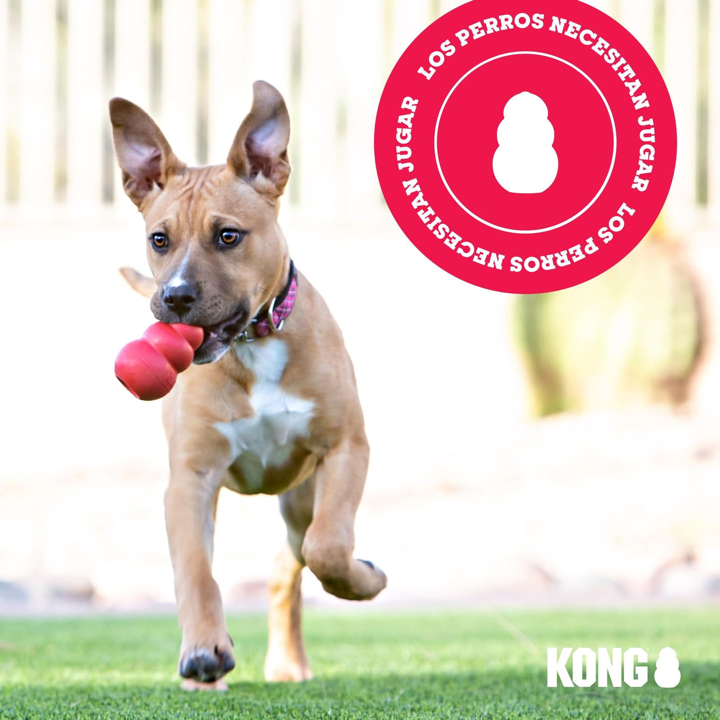 KONG Goodie Bone Hueso Clásico de Caucho, Rojo, Talla Pequeña