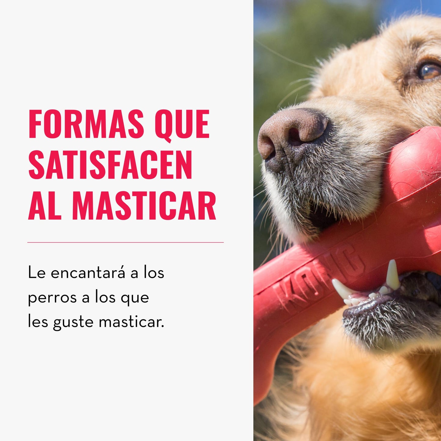 KONG Goodie Bone Hueso Clásico de Caucho, Rojo, Talla Pequeña