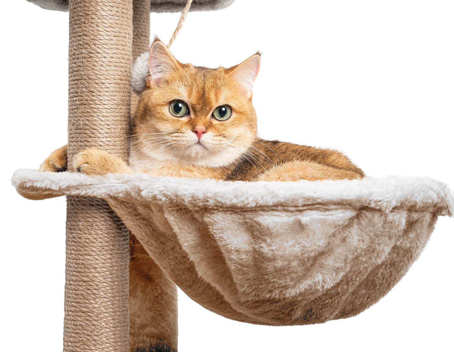 HOMIDEC Árbol Rascador para Gatos, 145cm, Torre de Escalada Estable con Varios Niveles, Actividades para Gatos con 7 Postes de sisal, 5 Plataformas, 2 nidos