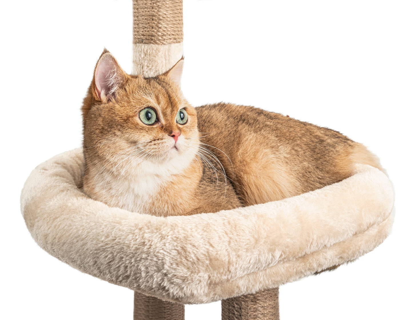 HOMIDEC Árbol Rascador para Gatos, 145cm, Torre de Escalada Estable con Varios Niveles, Actividades para Gatos con 7 Postes de sisal, 5 Plataformas, 2 nidos